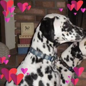 Meet your Posher, Viktoria